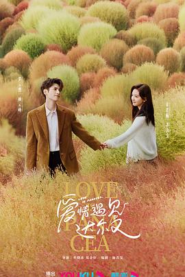 菠菜网站seo优化